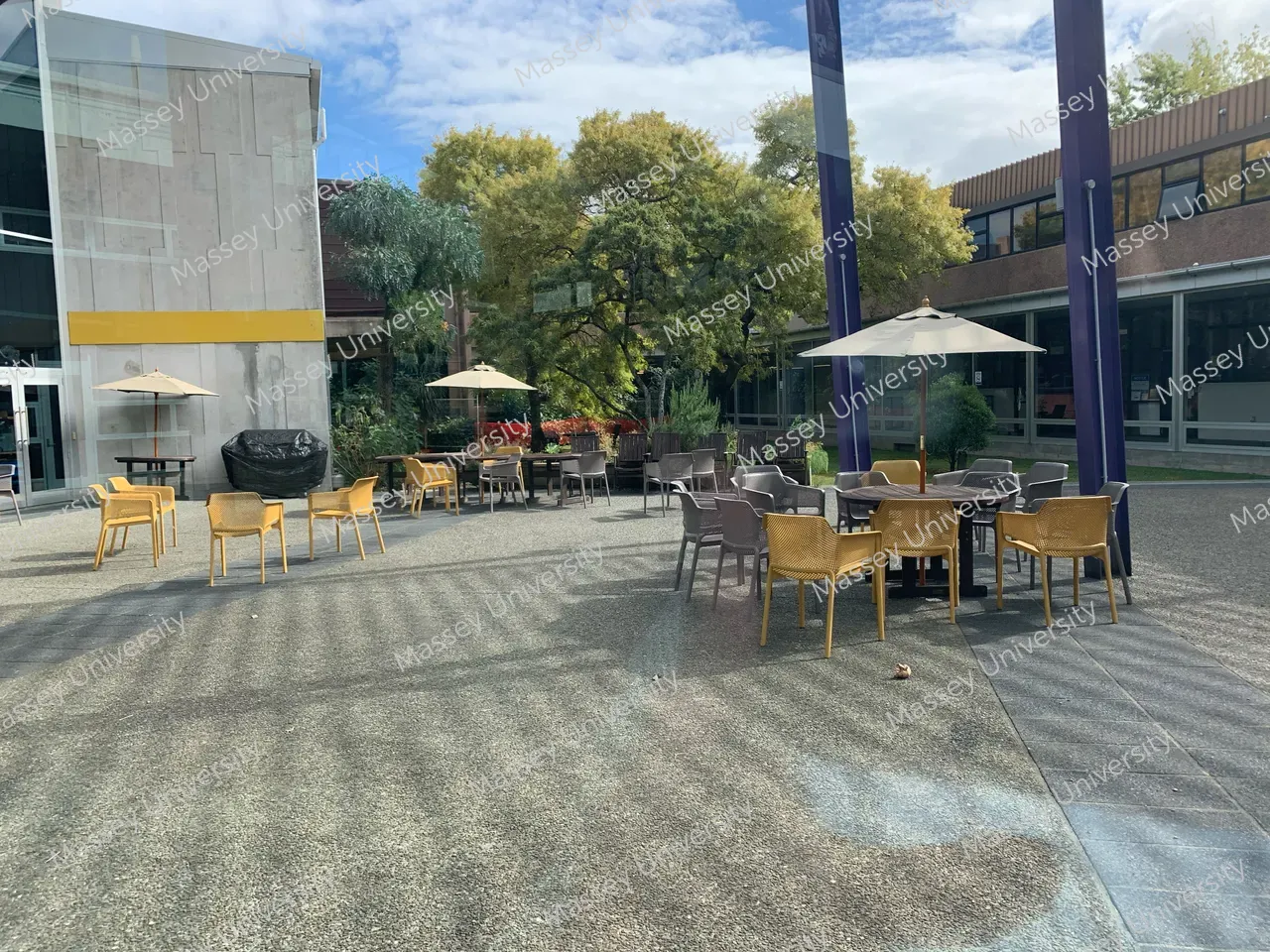 370413-communal-area-outside-riddet-complex