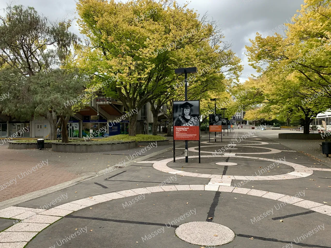 370401-alumni-profiles-on-concourse