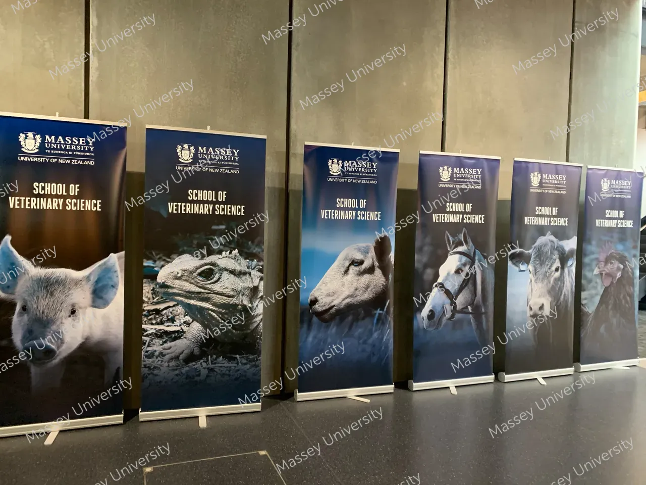 370414-inside-mvs-foyer