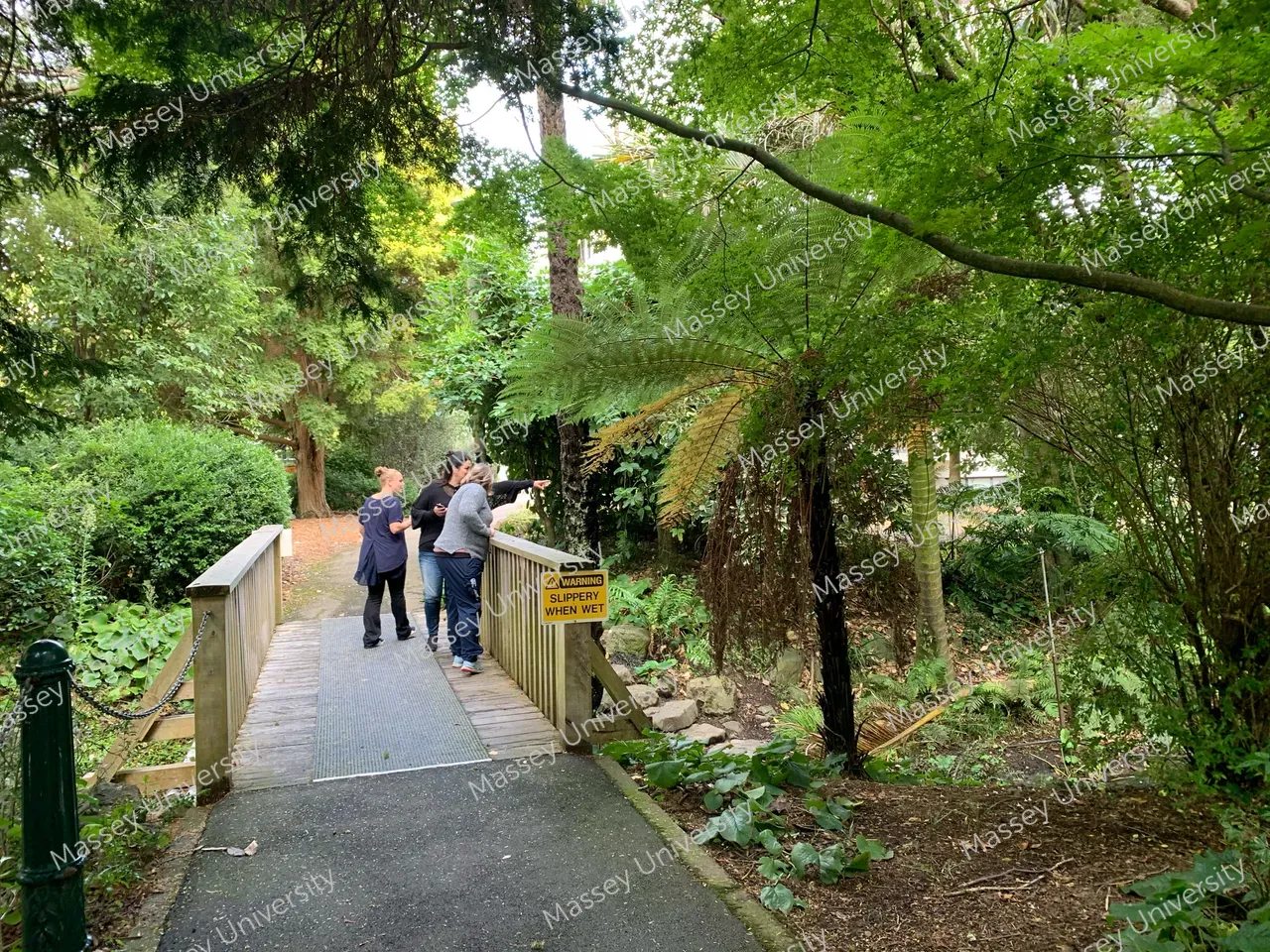 370403-bridge-down-from-sgp