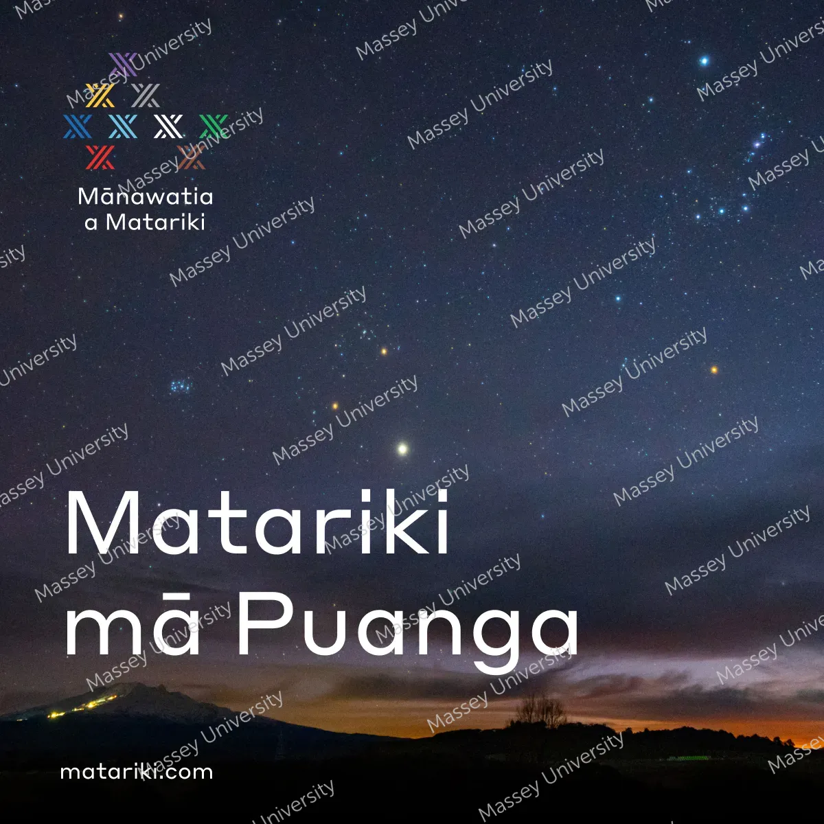 Matariki-Puanga-social-tile-square