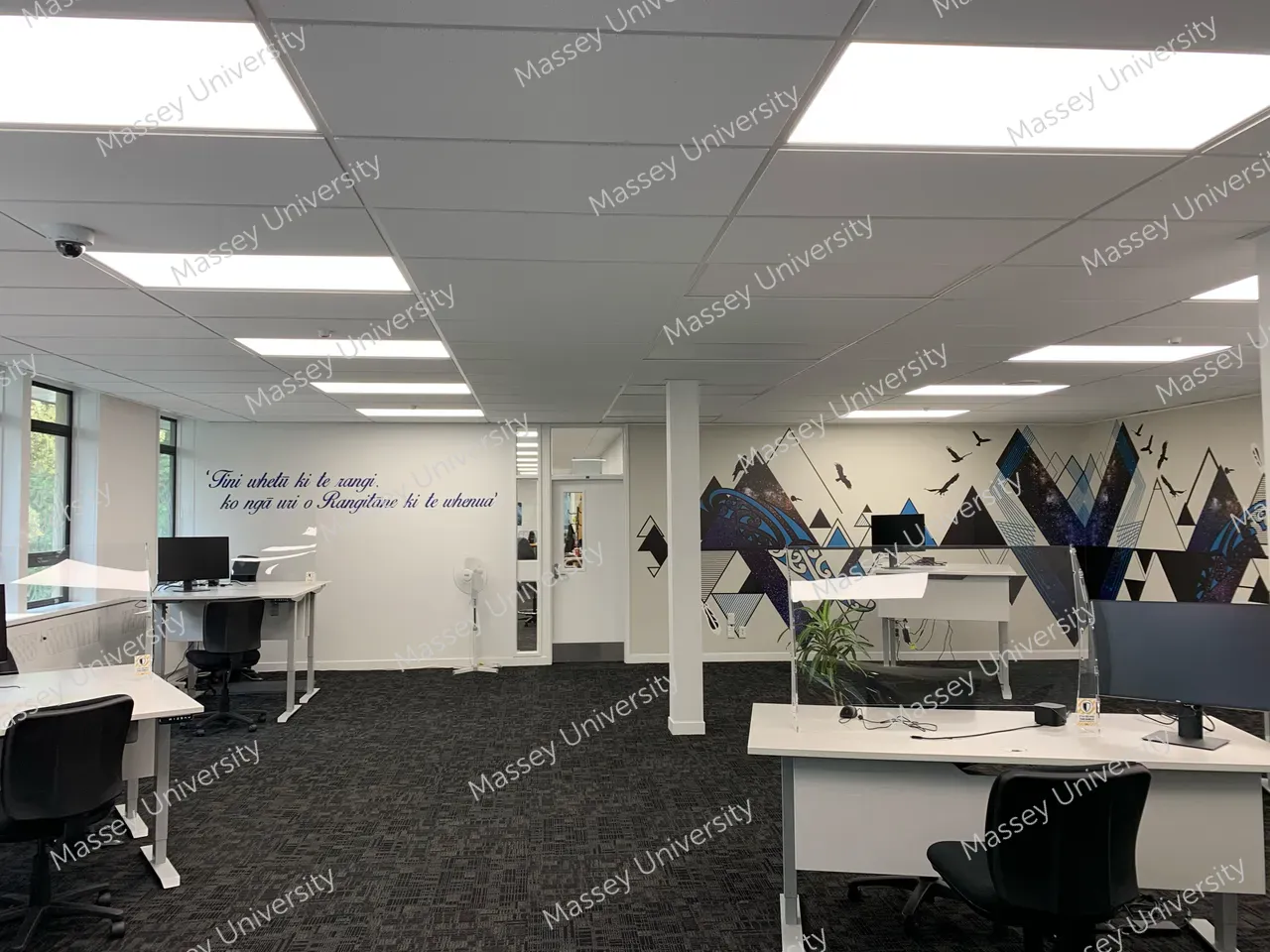 370429-registry-academic-advisor-area