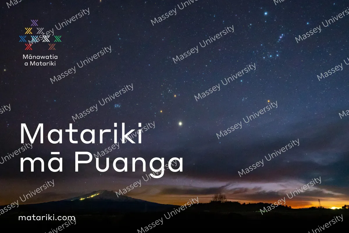 Matariki-Puanga-social-tile-landscape