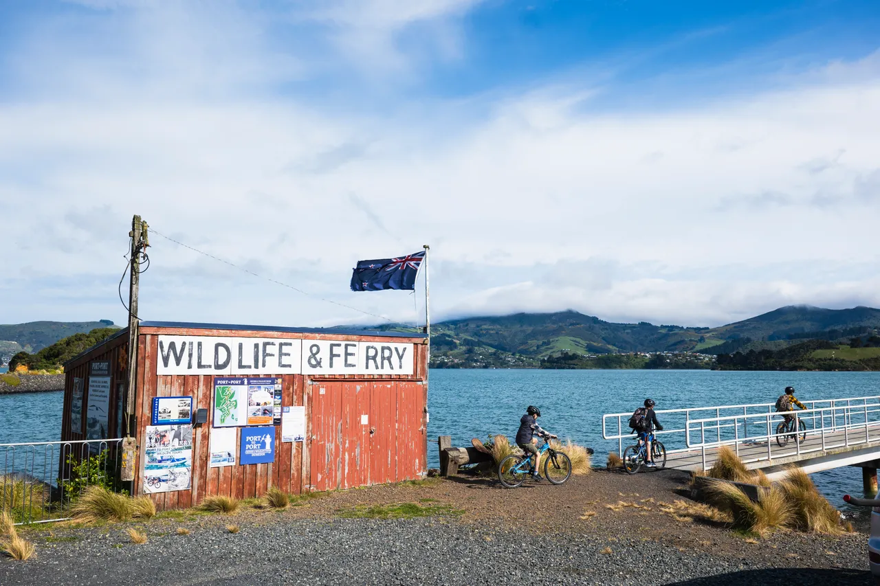 ACTIVITY_PortobelloFerryTerminal_DunedinNZ_002