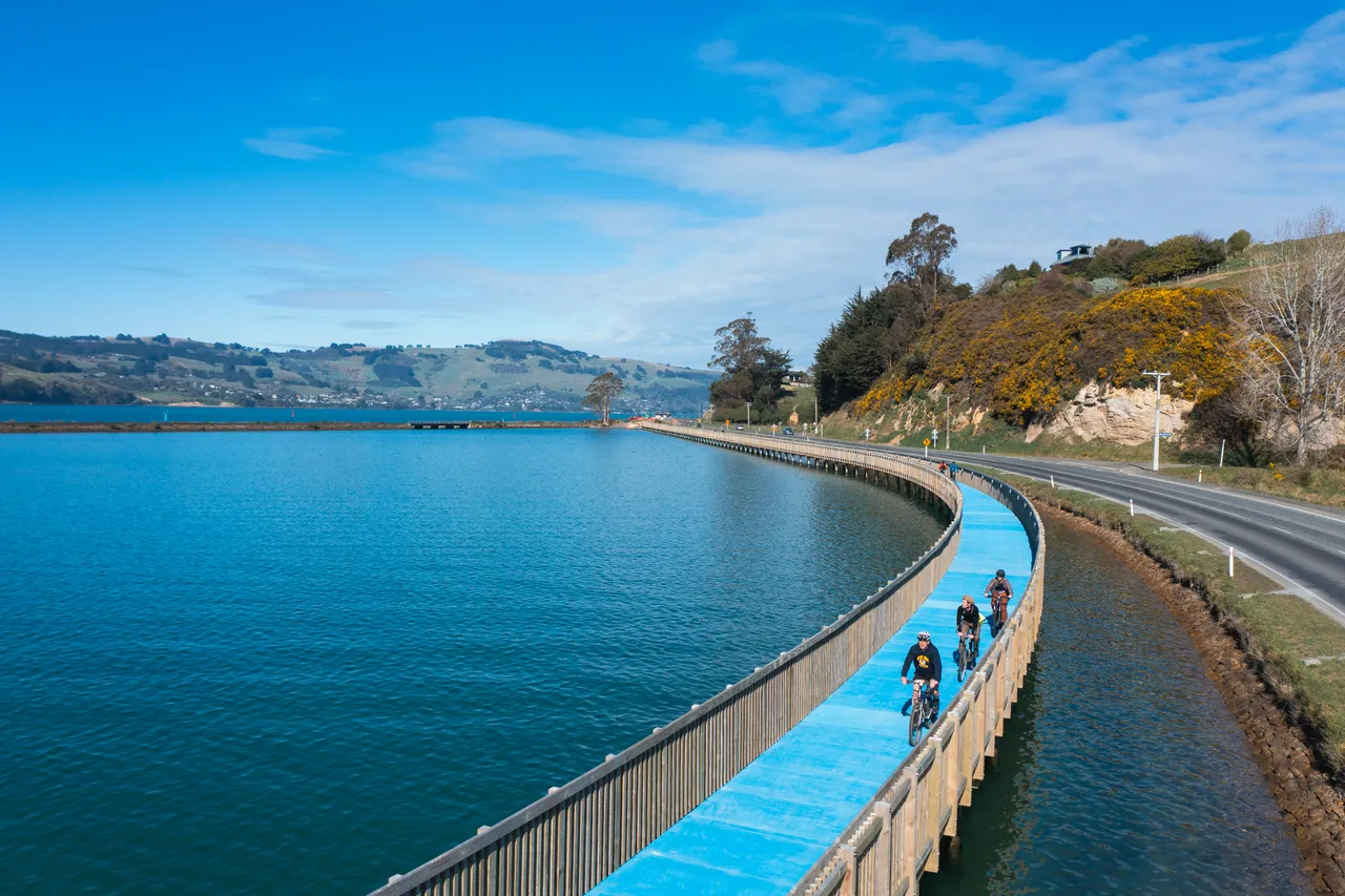ACTIVITY_TeAkaŌtākou_DunedinNZ_007