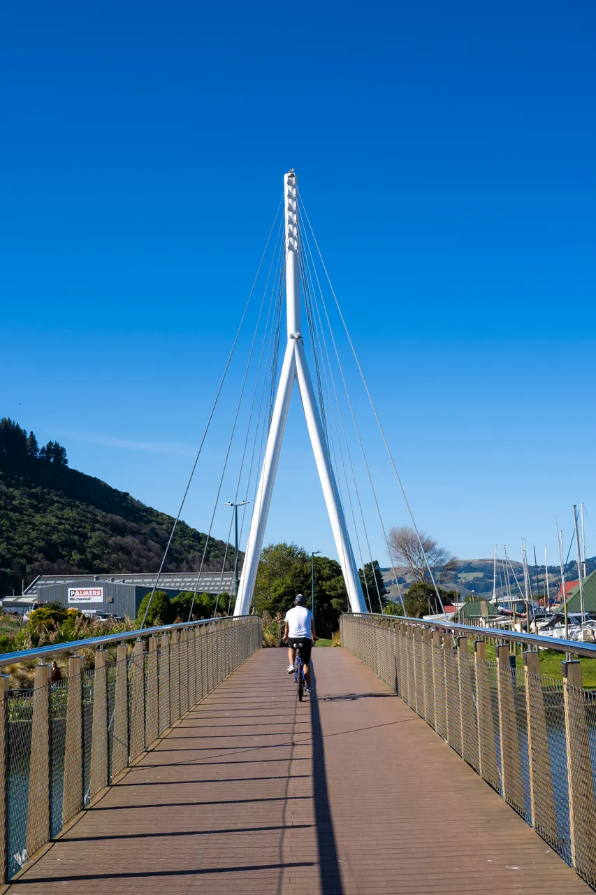 ACTIVITY_TeAkaŌtākou_DunedinNZ_038