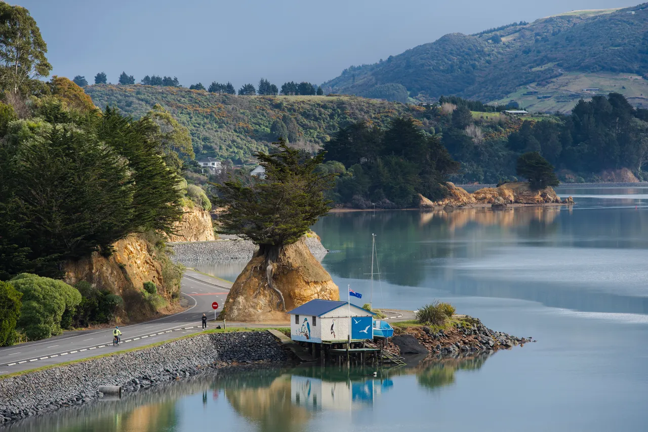 SCENIC_PineappleRock_DunedinNZ_008