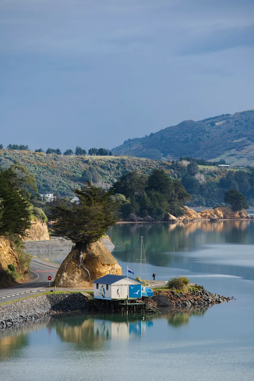 SCENIC_PineappleRock_DunedinNZ_007