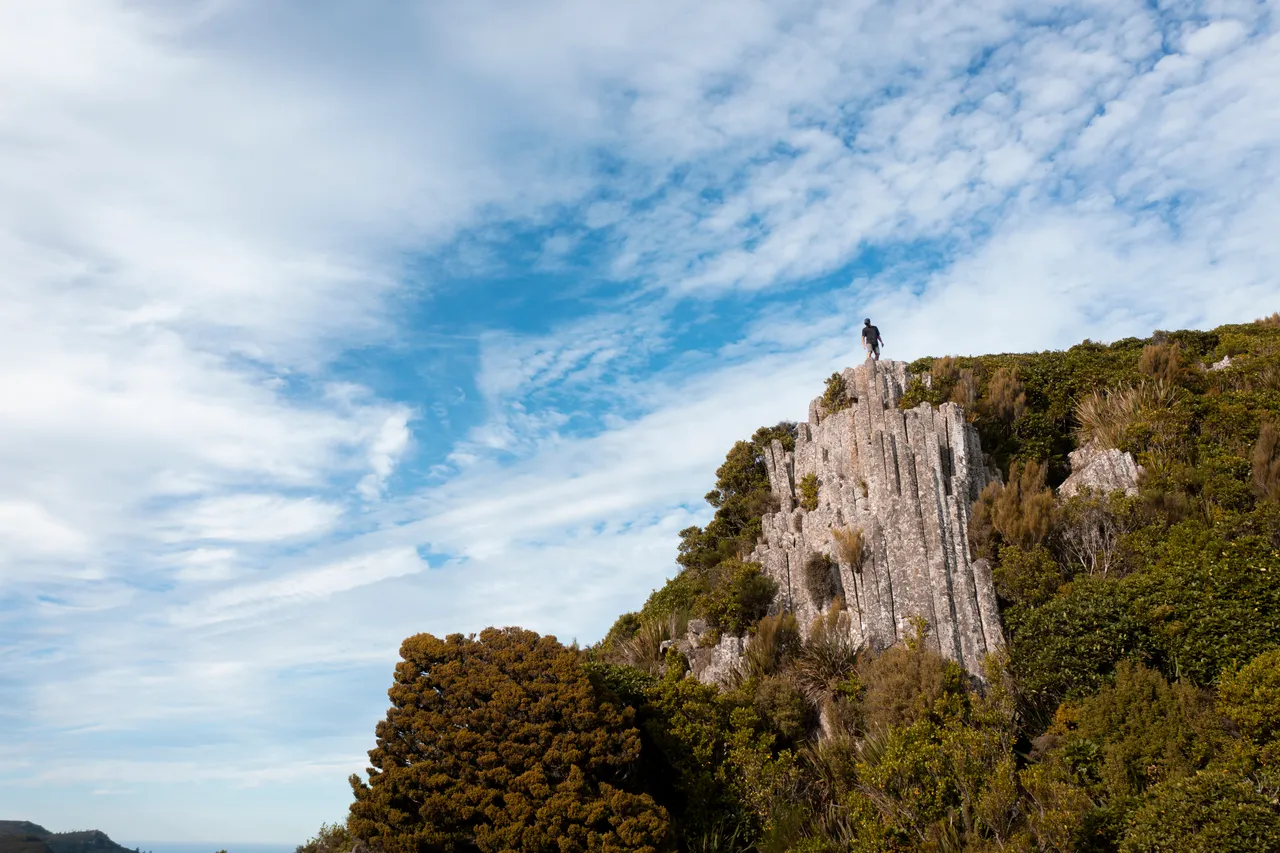 SCENIC_OrganPipes_049_DunedinNZ