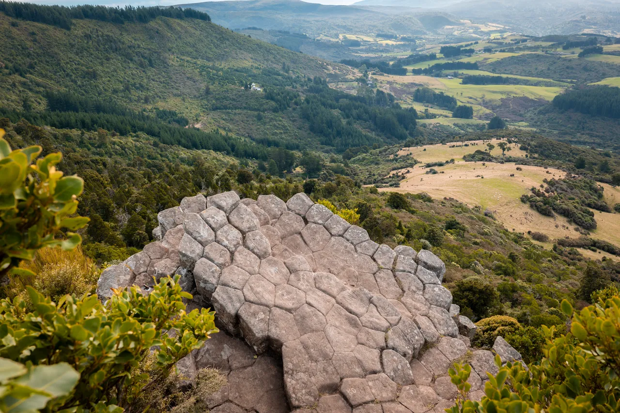 SCENIC_OrganPipes_057_DunedinNZ