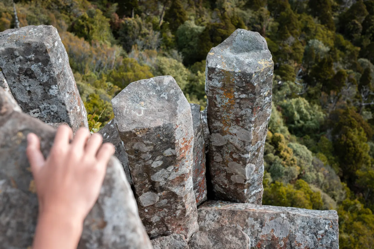 SCENIC_OrganPipes_055_DunedinNZ