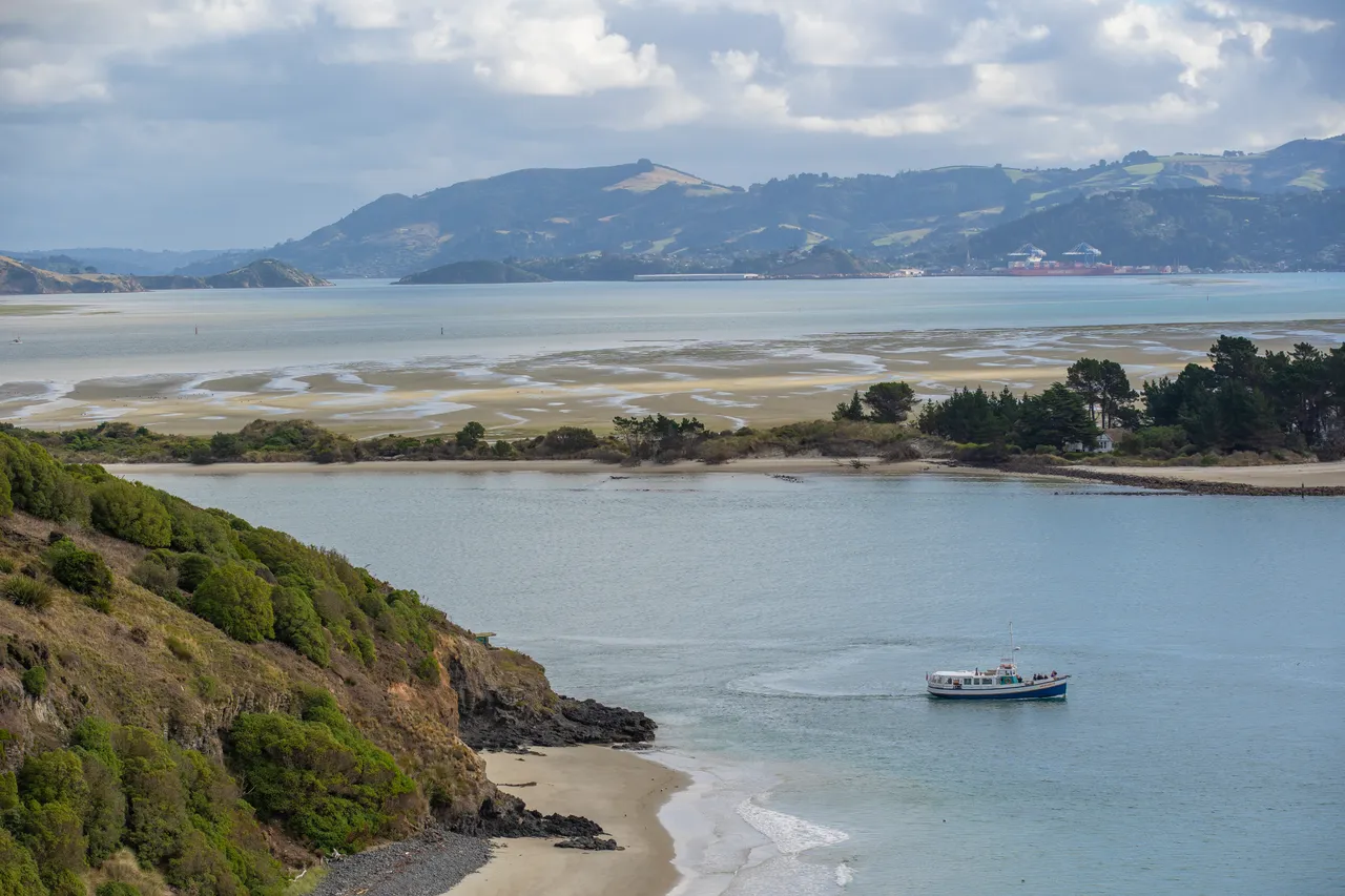 ATTRACTIONS_MonarchCruise_079_DunedinNZ