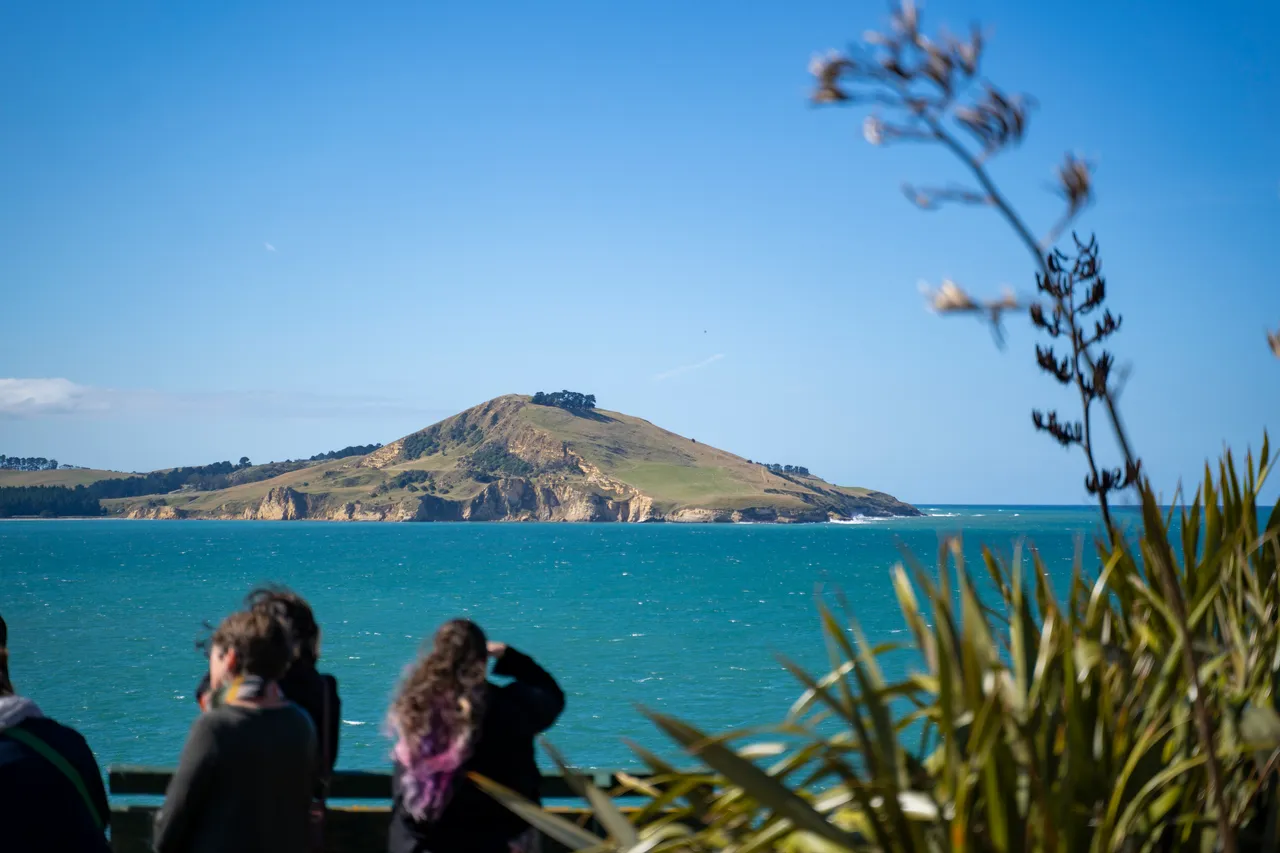 ATTRACTION_HuriawaPeninsulaWalk_019_DunedinNZ