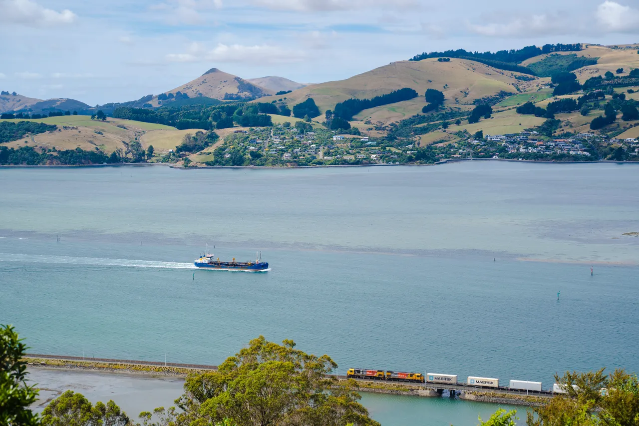 SCENIC_OtagoHarbour_047_DunedinNZ
