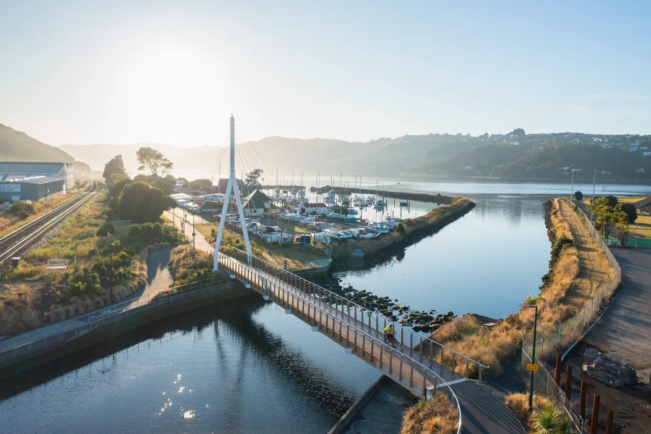 SCENIC_HarbourCyclewayBridge_001_DunedinNZ