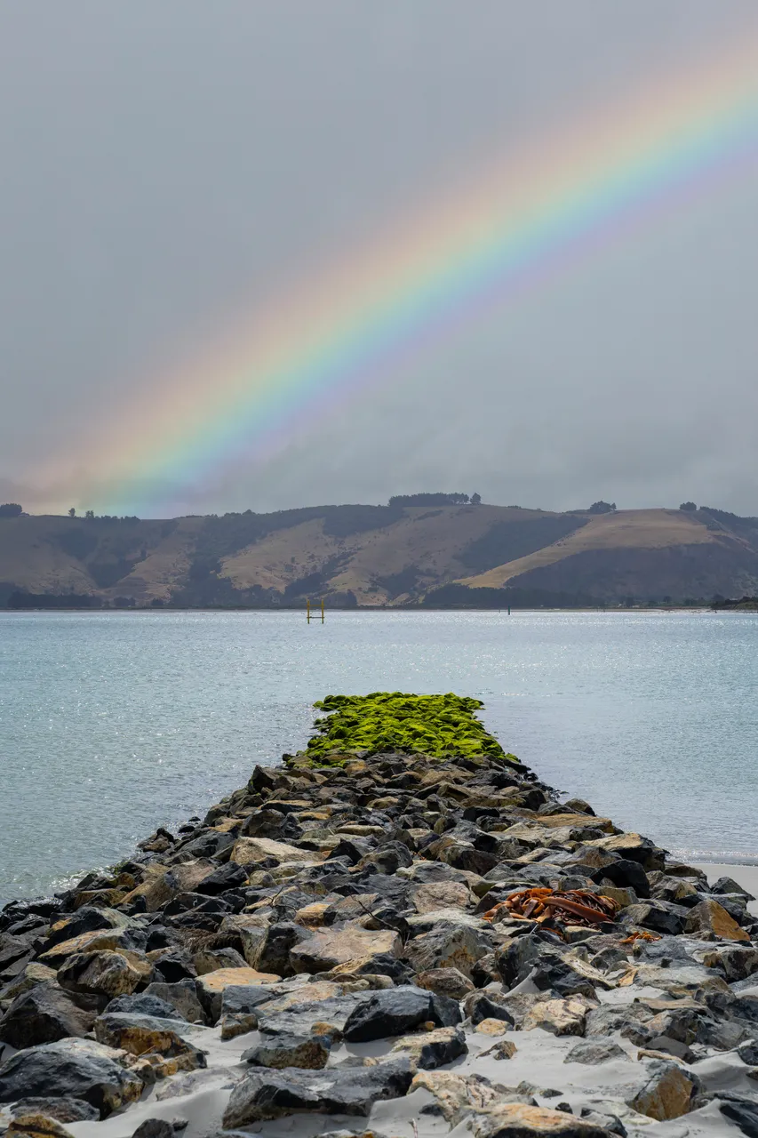 SCENIC_TeRauoneBeach_004_DunedinNZ