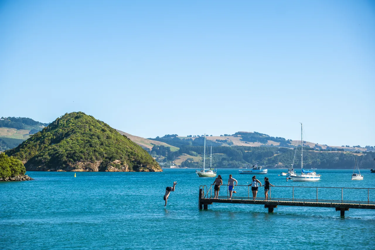 SCENIC_BackBeachSummer_002_DunedinNZ