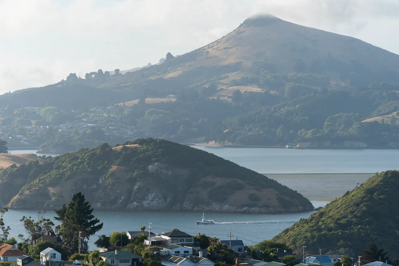 ATTRACTIONS_MonarchWildlifeCruise_051_DunedinNZ