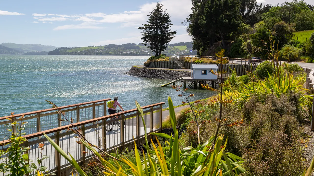 ACTIVITIES_PeninsulaCycleway_055_DunedinNZ