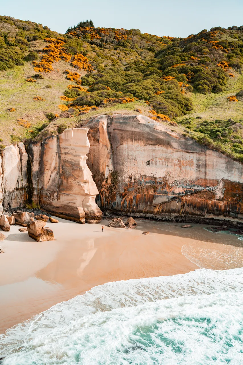 SCENIC_TunnelBeach_094_DunedinNZ