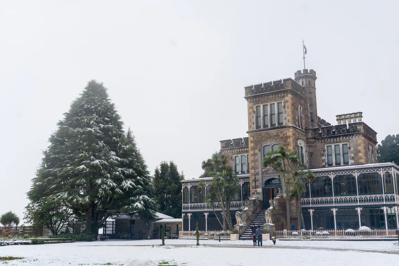 SCENIC_SnowDay2022_018_DunedinNZ