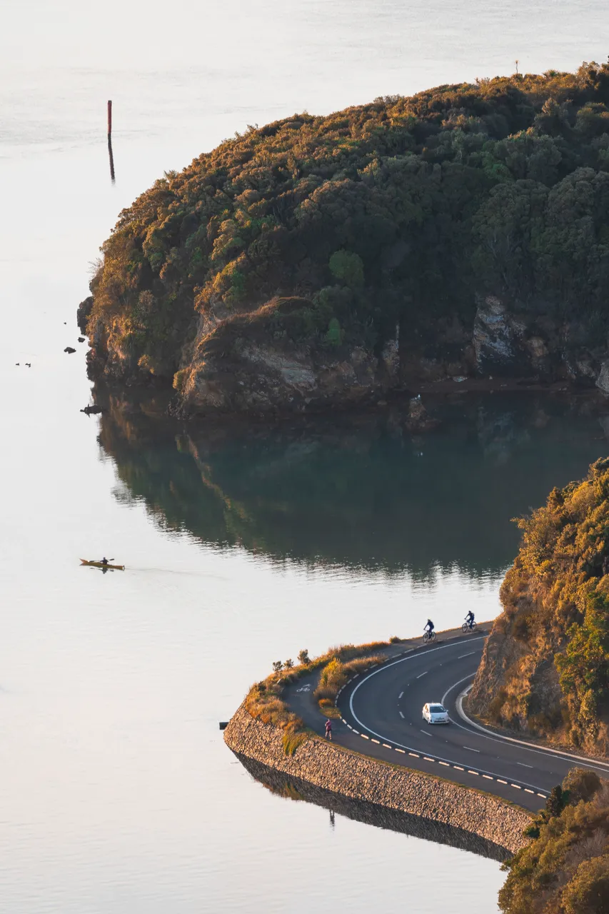 SCENIC_OtagoHarbour_089_DunedinNZ