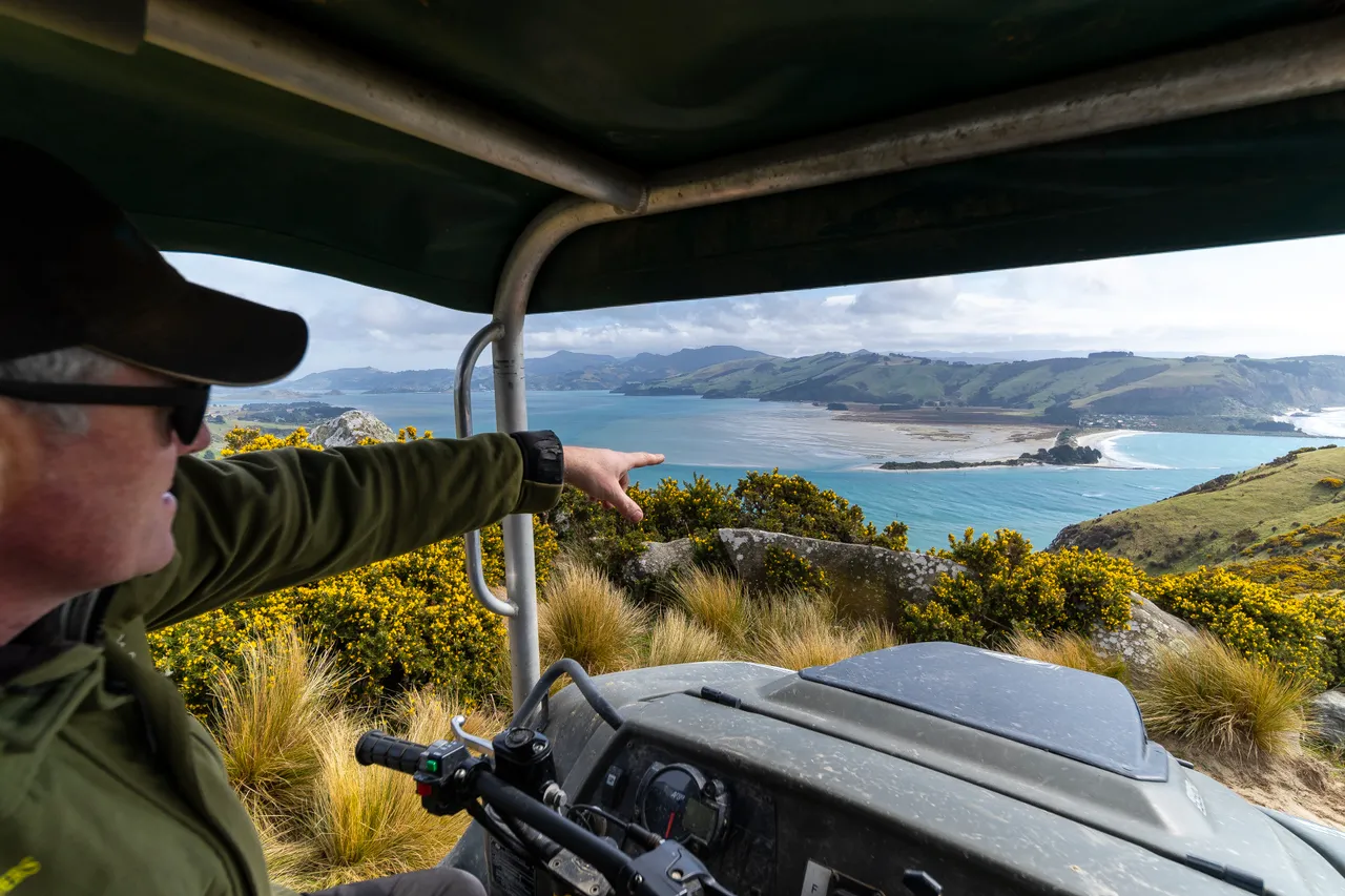ATTRACTIONS_NaturesWondersTour_084_DunedinNZ