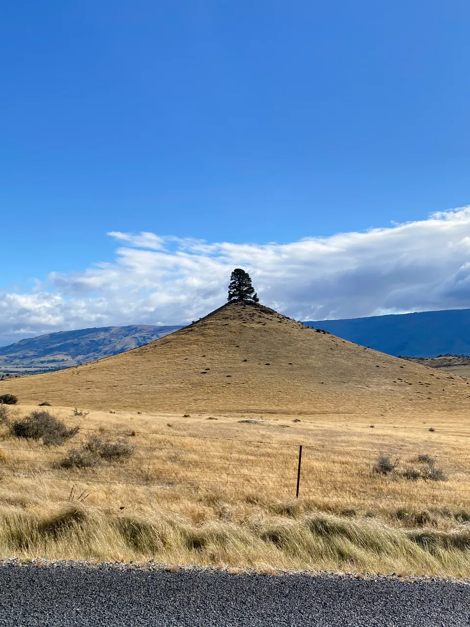 MIDDLEMARCH_scenic_030_DunedinNZ