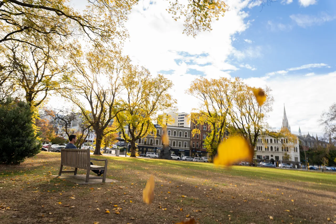SCENIC_QueensGarden_Autumn_007_DunedinNZ
