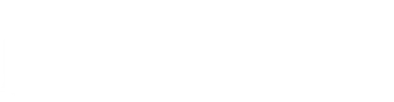 BRAND_DunedinLogo_White