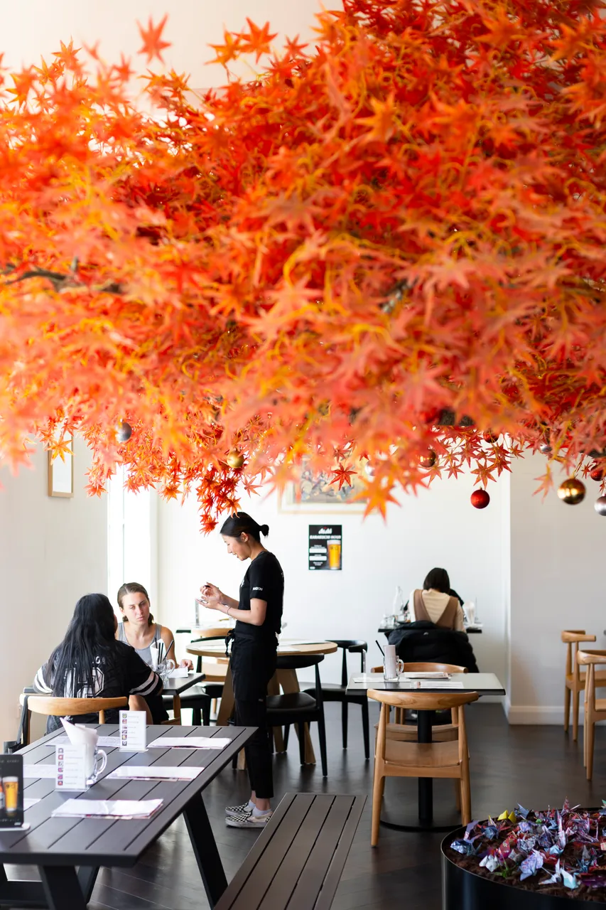 FOOD_Takeichi_005_DunedinNZ