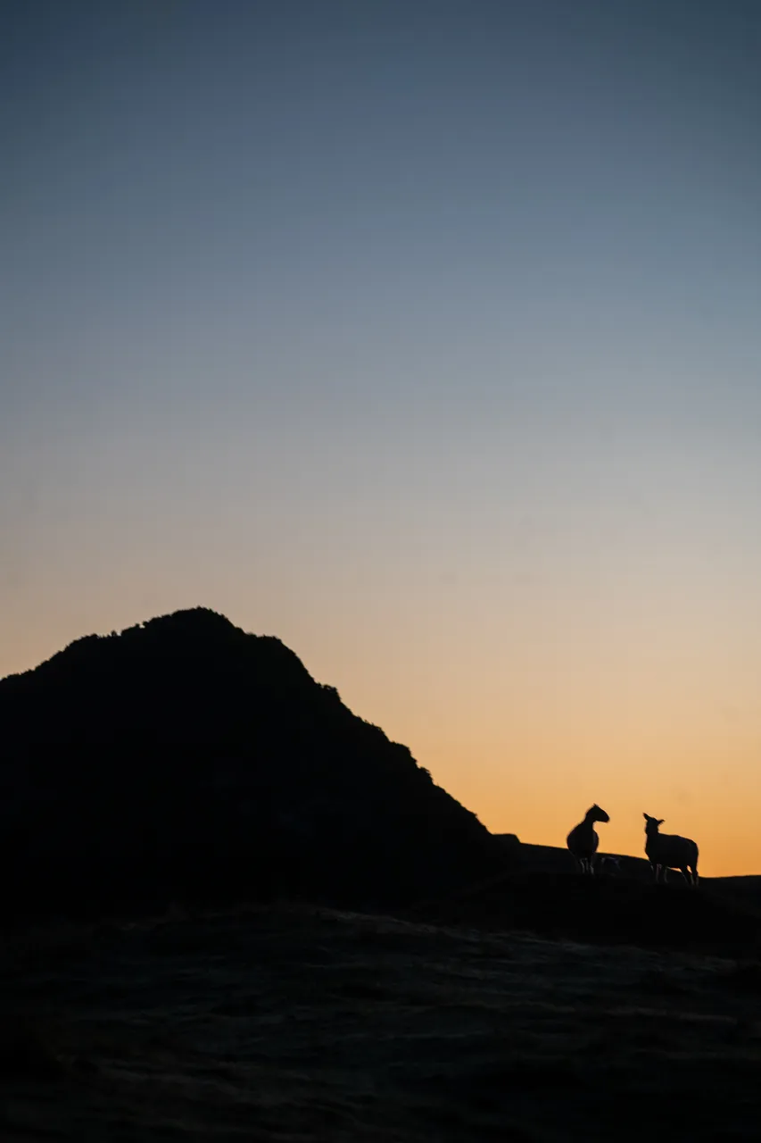 SCENIC_OkiaPyramidsSunrise_016_DunedinNZ