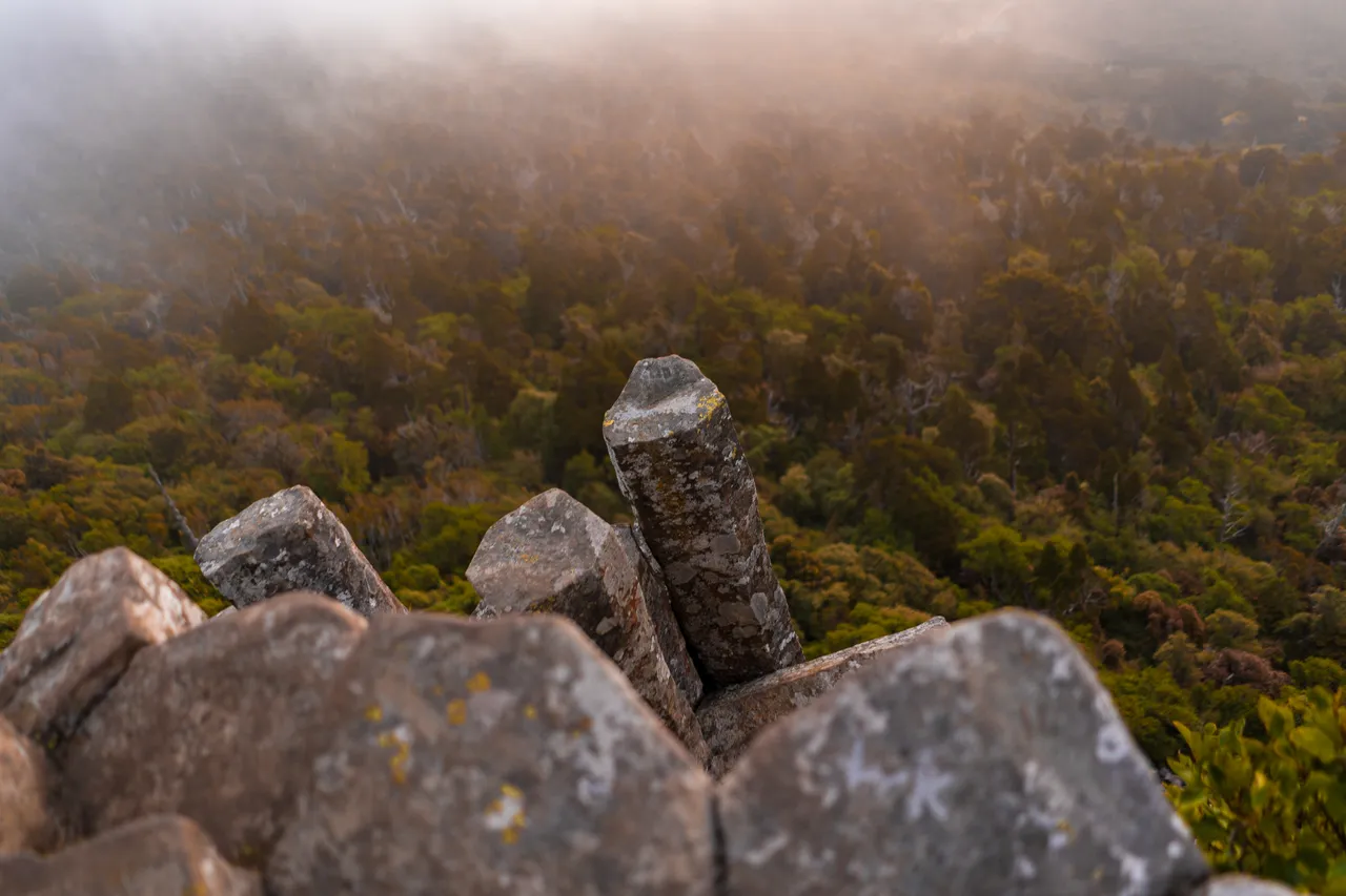 SCENIC_OrganPipes_030_DunedinNZ