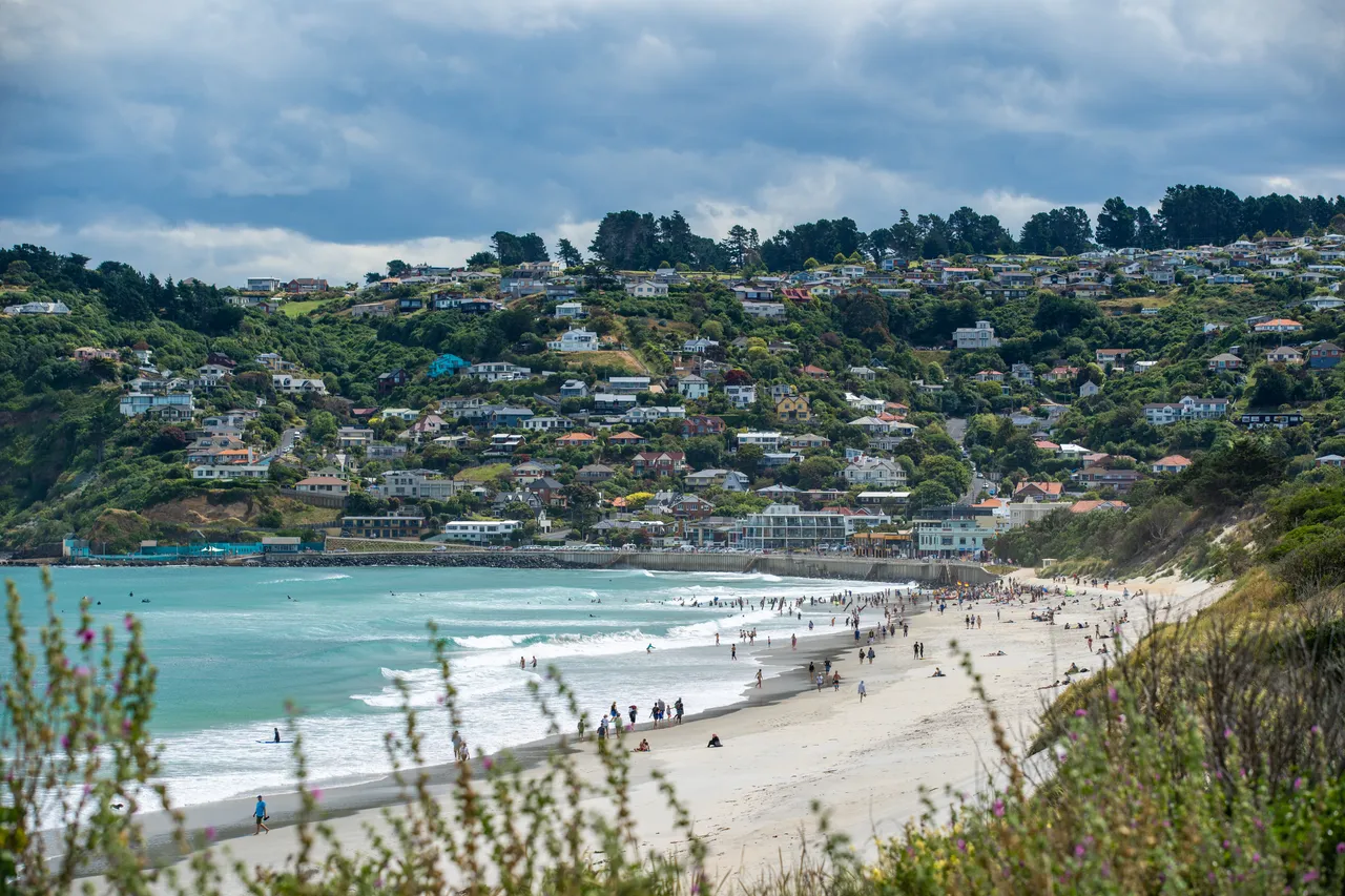 SCENIC_StClairBeachSummer_049_DunedinNZ