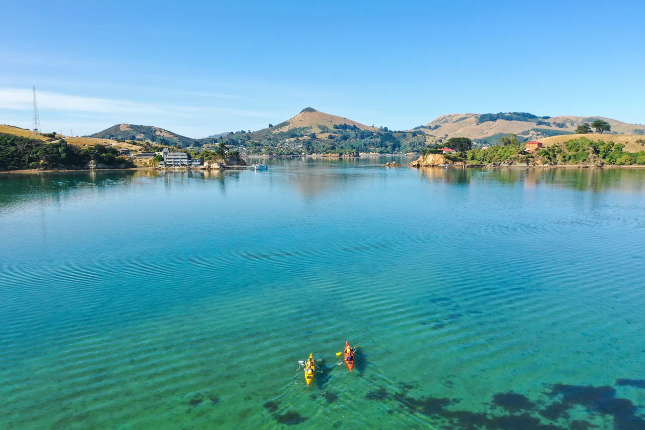 ACTIVITIES_HarbourKayaking_003_DunedinNZ