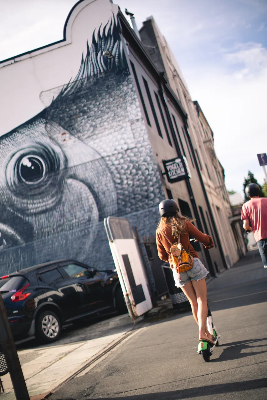 URBAN_StreetArt_PhlegmFish_010_DunedinNZ