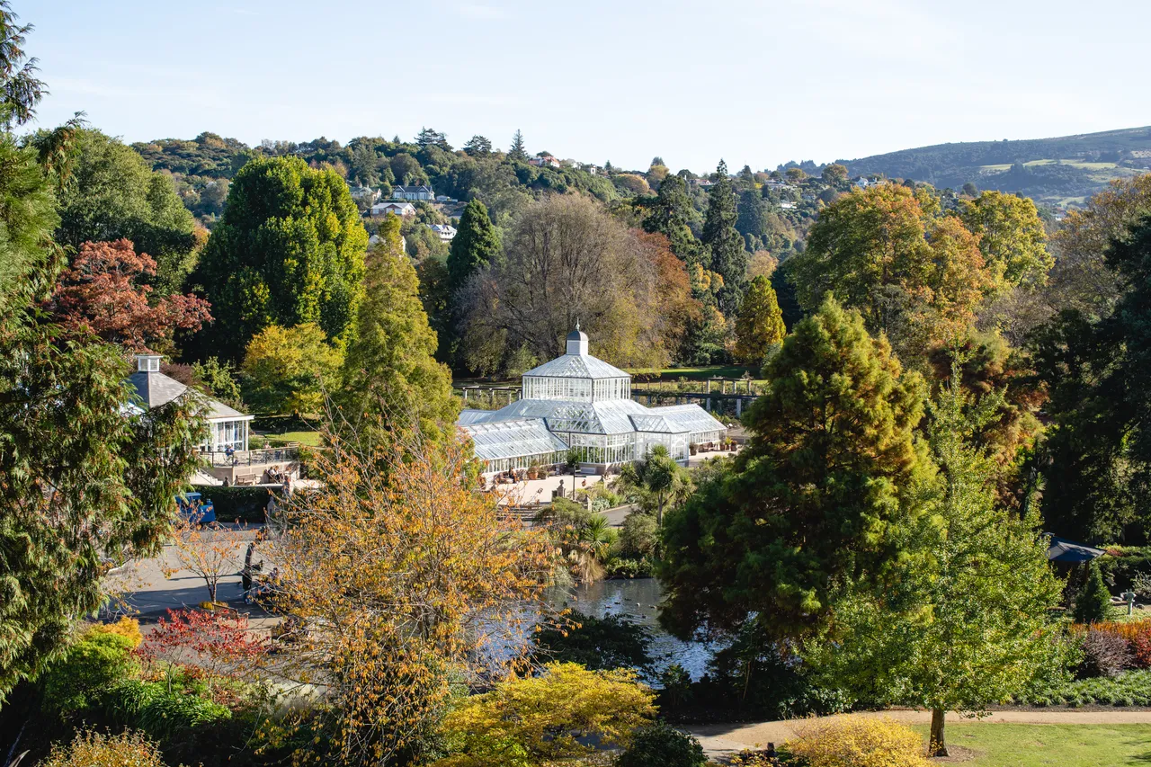 SCENIC_BotanicGardensAutumn_005_DunedinNZ