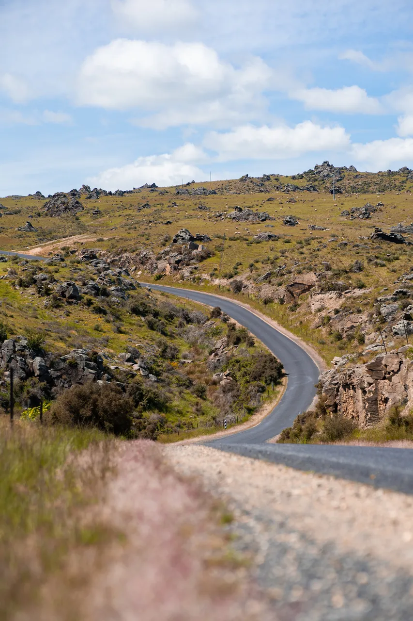 MIDDLEMARCH_scenic_004_DunedinNZ