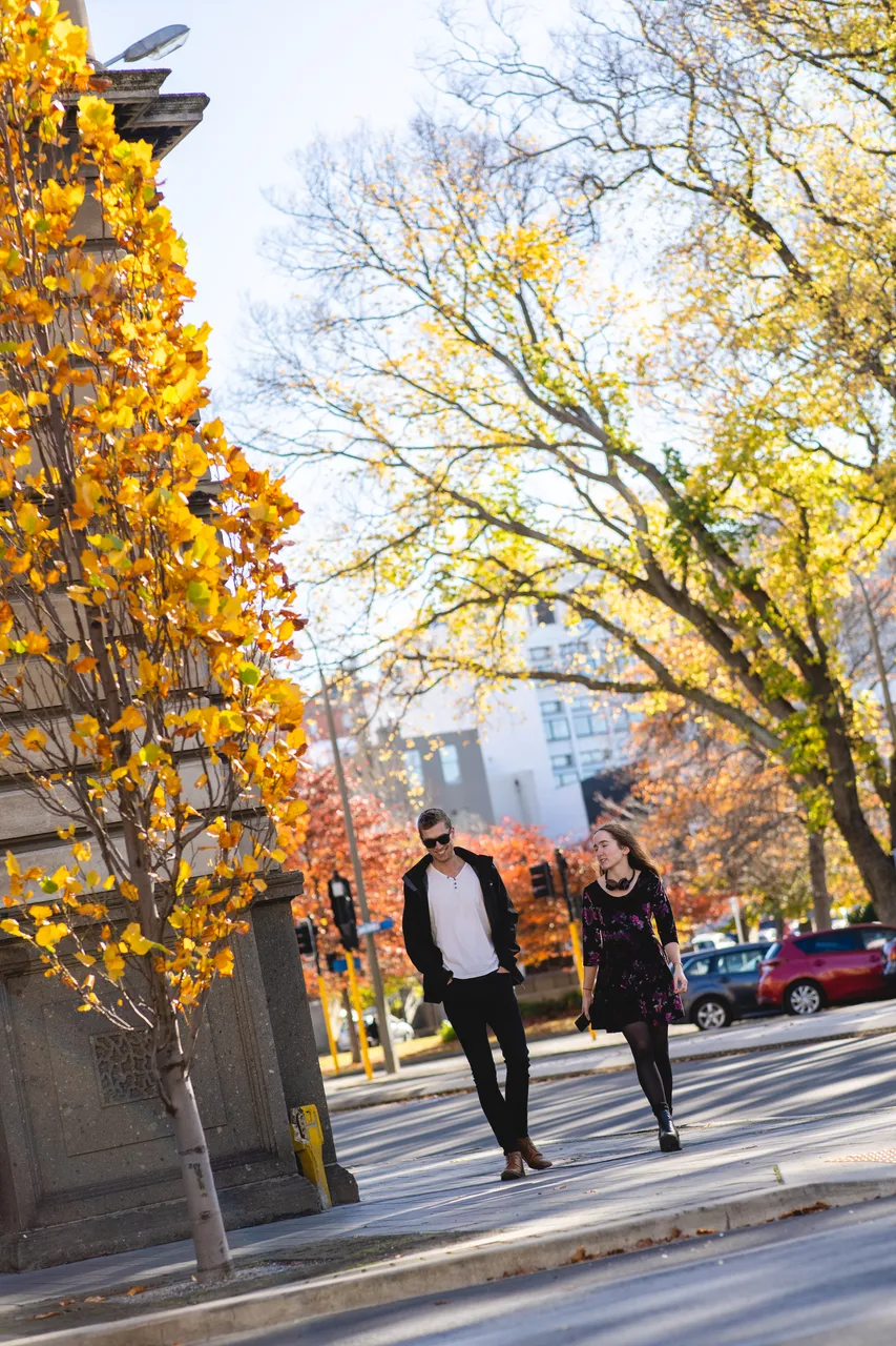 URBAN_VogelStreetAutumn_009_DunedinNZ