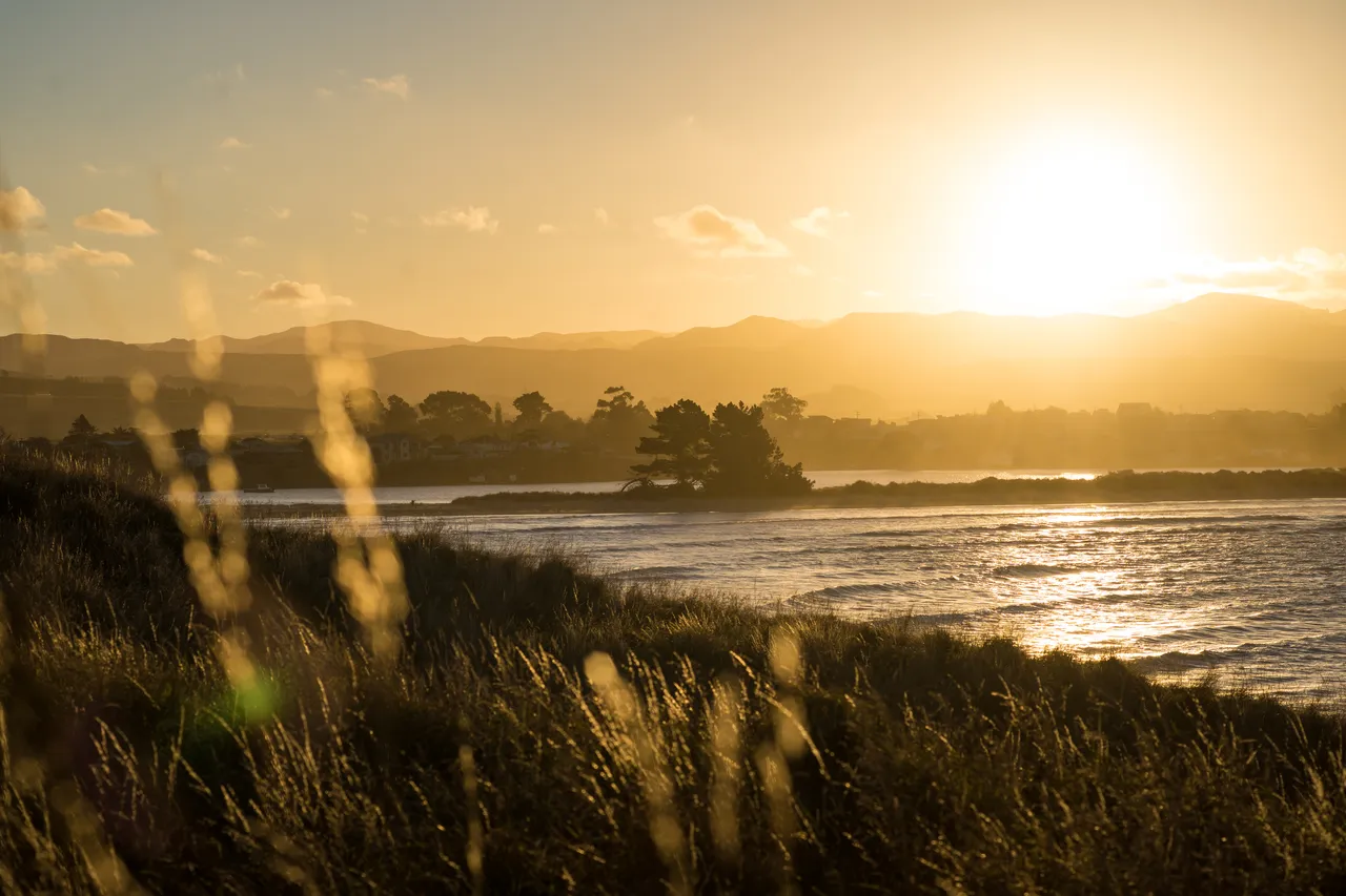 SCENIC_Karitane_002_DunedinNZ