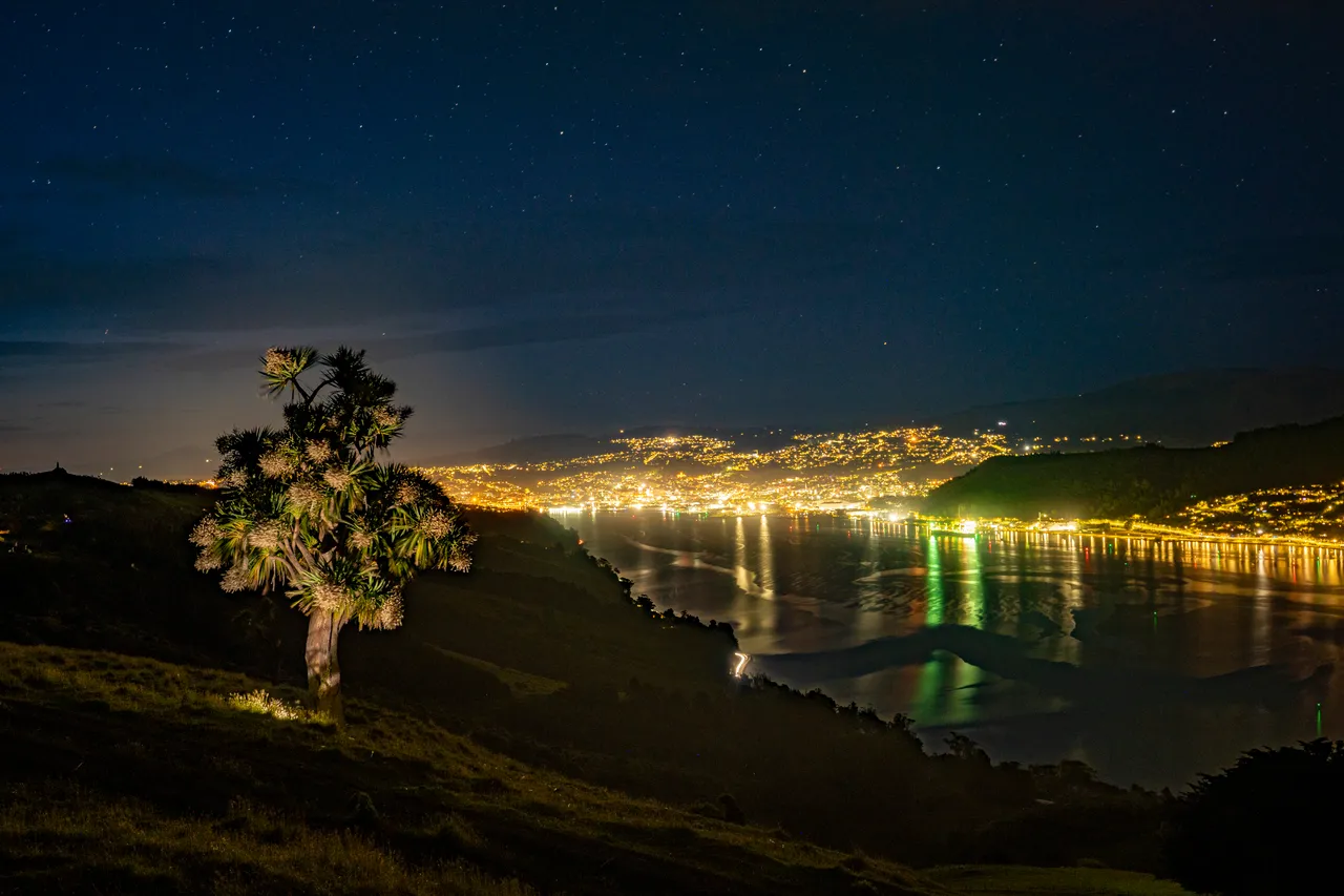 SCENIC_OtagoHarbourNight_012_DunedinNZ