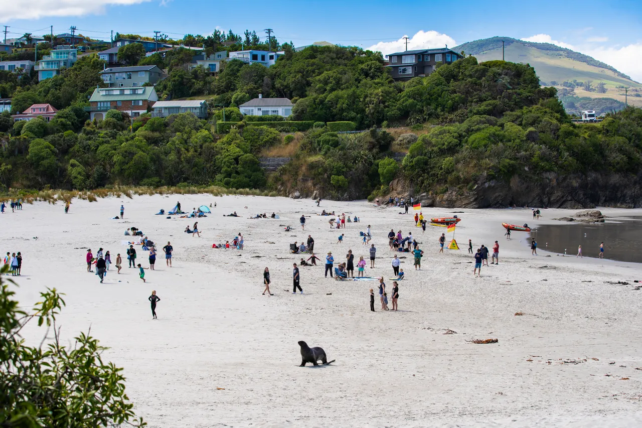 SCENIC_BrightonBeachSummer_042_DunedinNZ