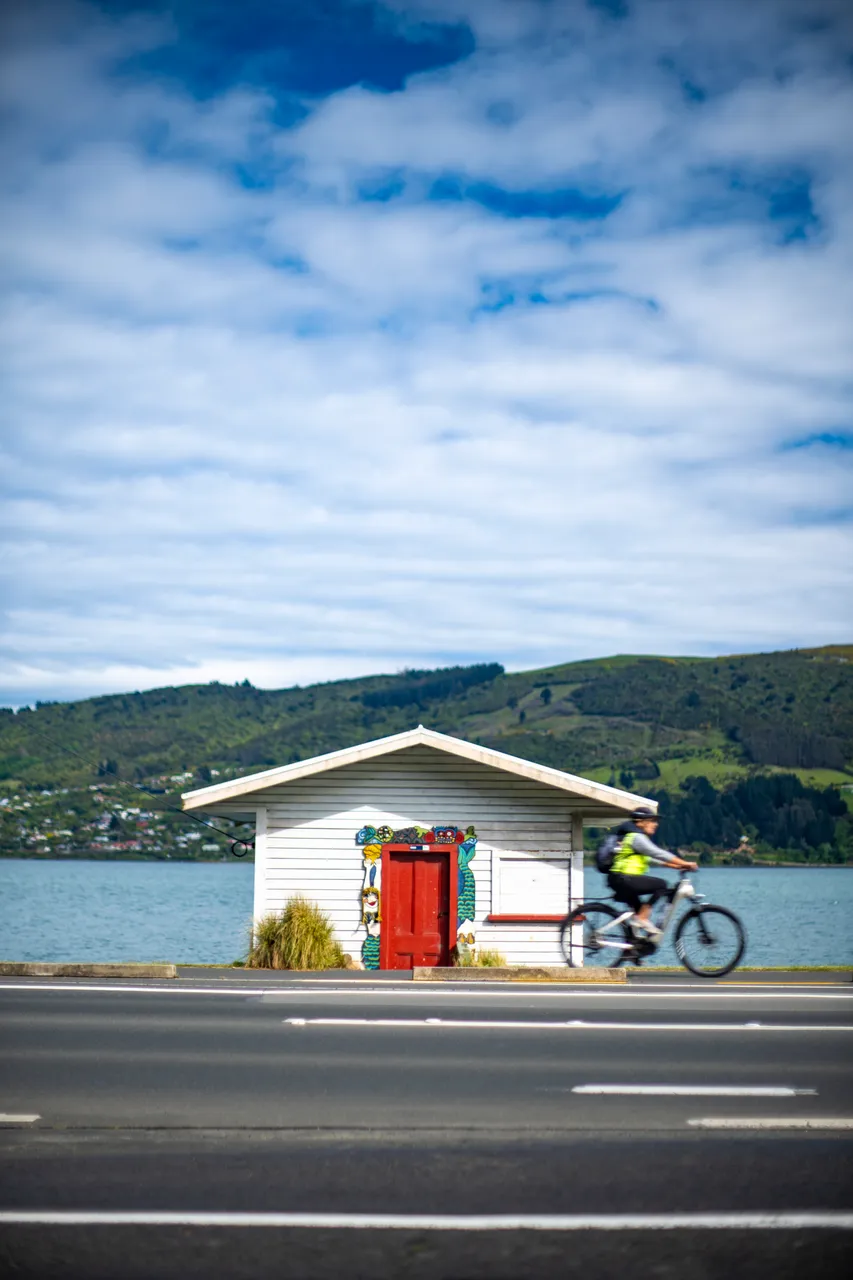 ACTIVITIES_BikingBoatSheds_003_DunedinNZ