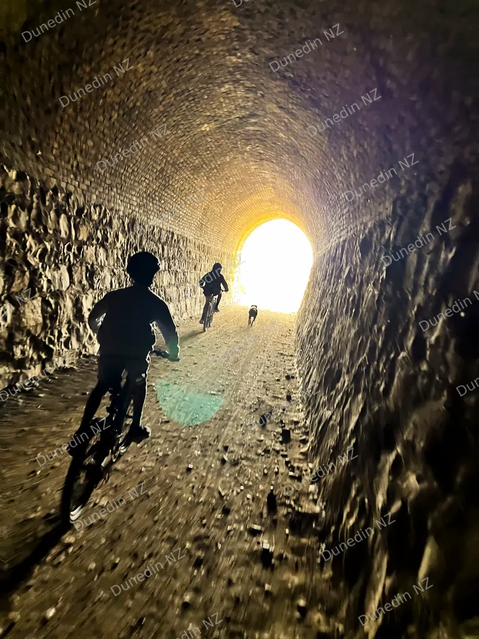ACTIIVITY_OtagoCentralRailTrailTunnel_004_DunedinNZ