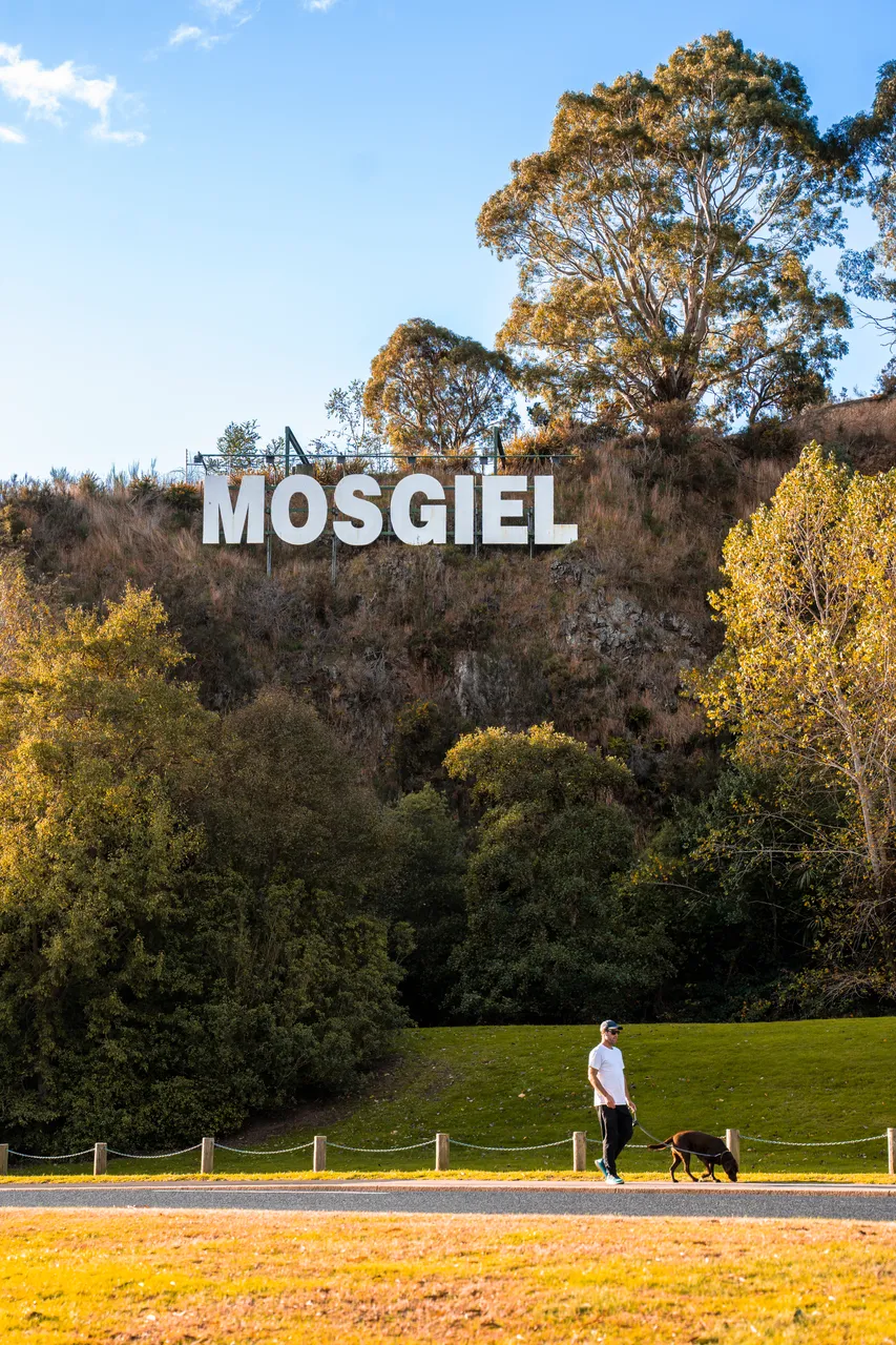 SCENIC_MosgielSignAutumn_004_DunedinNZ
