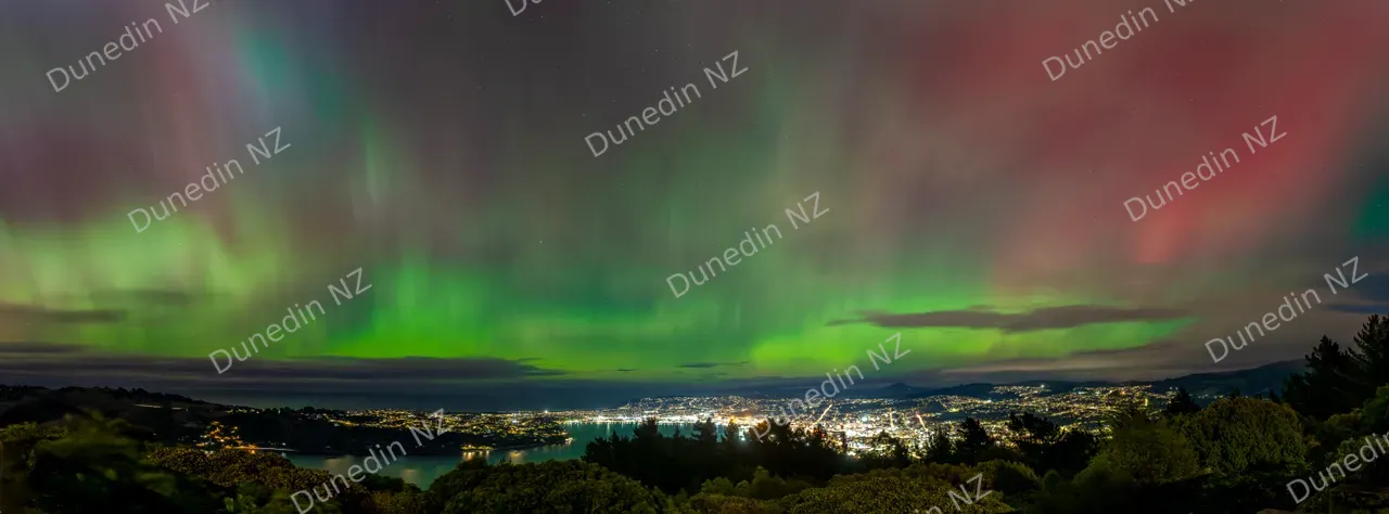 SCENIC_AuroraAustralisMay2024_013_DunedinNZ
