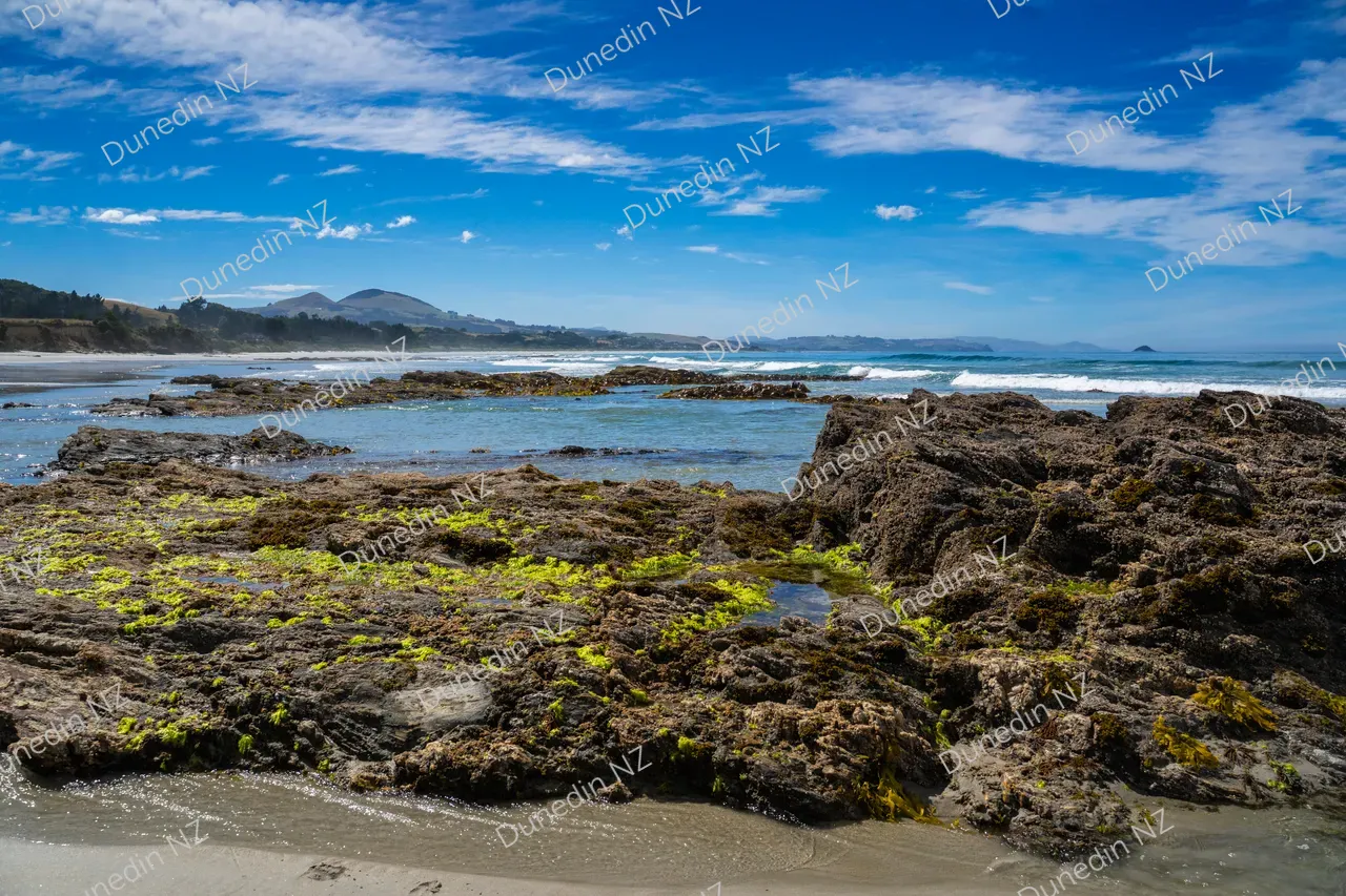 SCENIC_KuriBushBeach_016_DunedinNZ