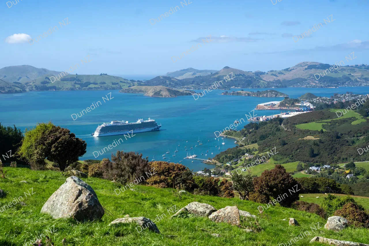 CRUISE_CruiseShipHarbour_DunedinNZ_003_DSC09623