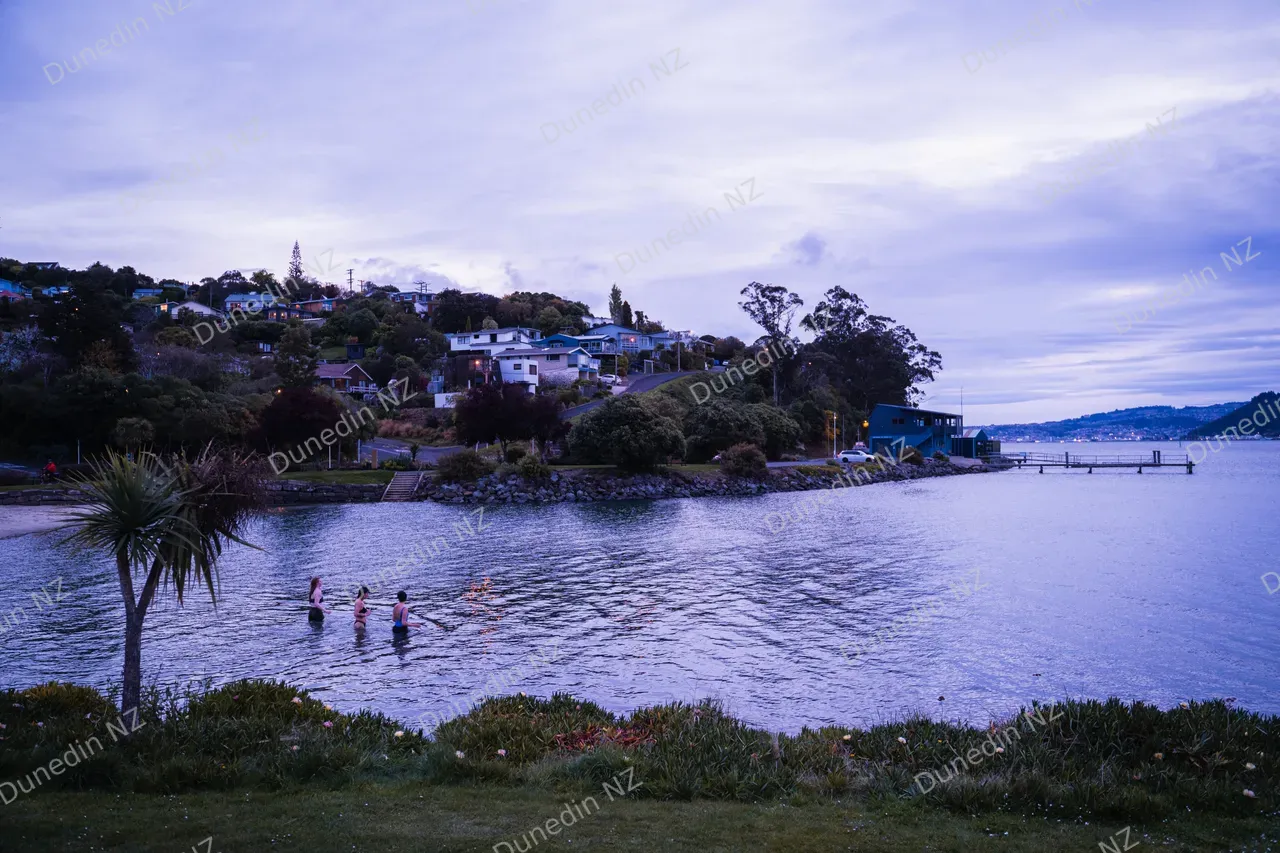 INSIDERS_OrangaSauna_015_DunedinNZ