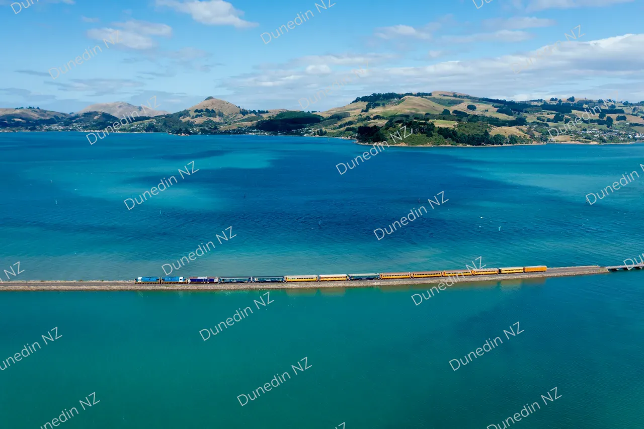 ATTRACTION_SeasiderOtagoHarbour_003_DunedinNZ